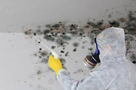 Best Forensic Mold Investigation  in Matawan, NJ